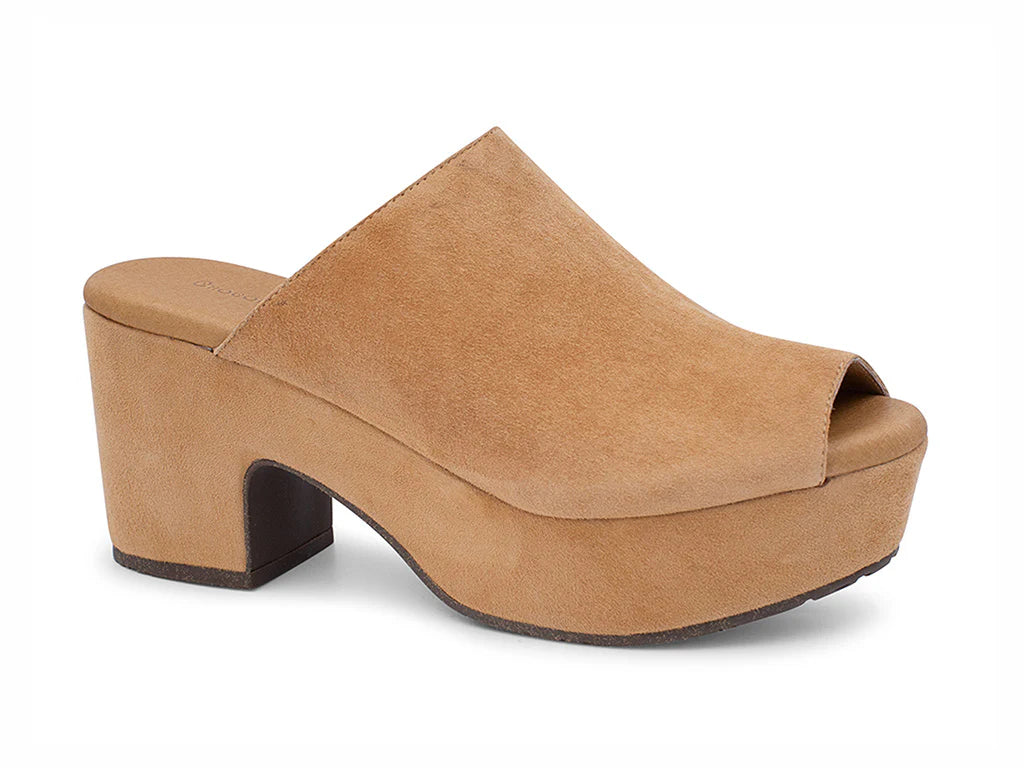 Choclat Blu Garnnet Tan Suede