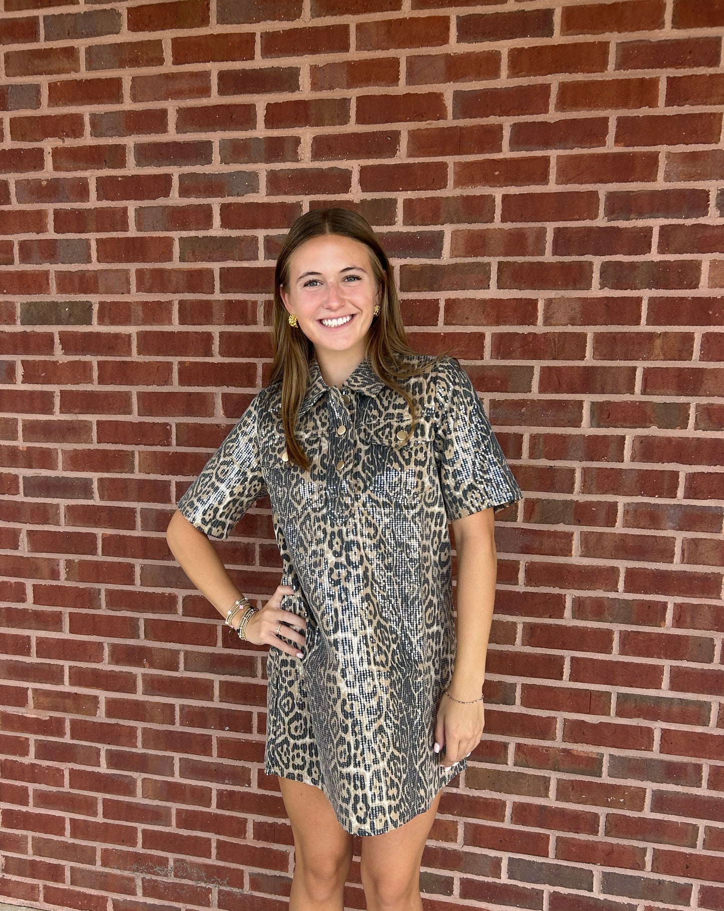 TCEC Animal Print Shirt Dress