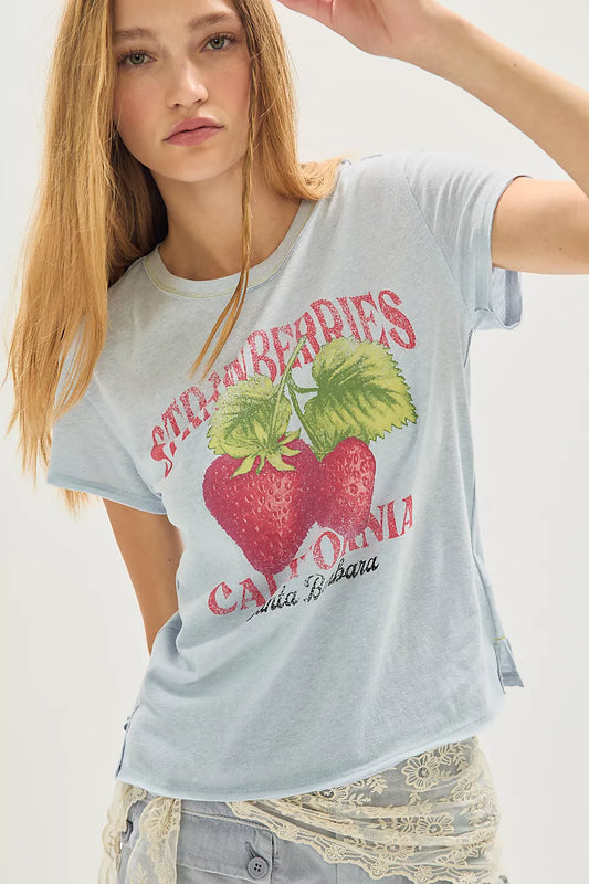 Free People Nova Graphic Tee-Strawberry Combo